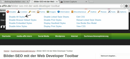 CSS deaktivieren mit der Web Developer Toolbar